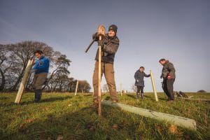 tree planting Threave