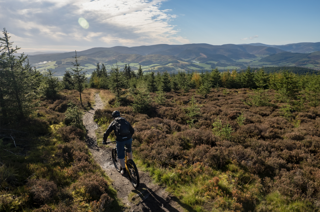 image-scotland-left
