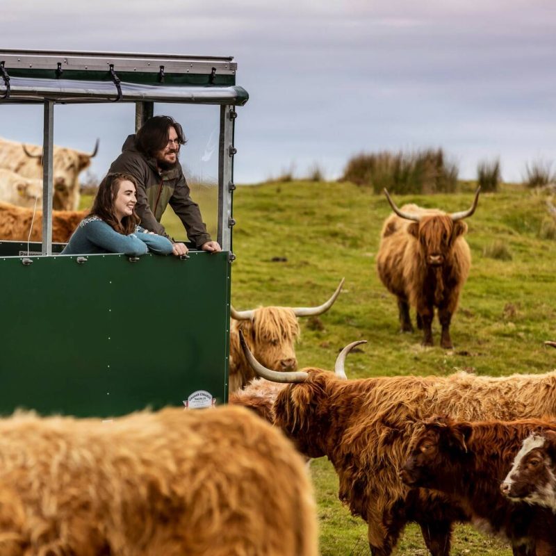 kitchen-coos-ewes-by-visitscotland(2)