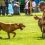 Galloway County Fair reveals headliners