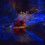 Monteviot Lights – The Scottish Borders First Winter Light Trail