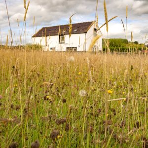 E1.Best Self-Catering Accommodation Experience - Arden Holiday Cottage (1)