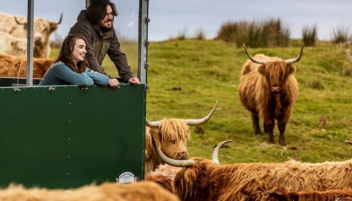 kitchen-coos-ewes-by-visitscotland(2)